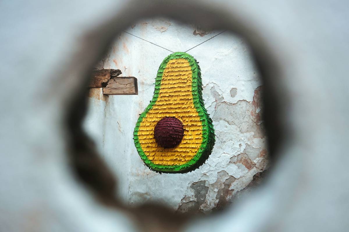 Still Life Fruit Wall Art: 7 Proven Tips to Avoid Costly Mistakes